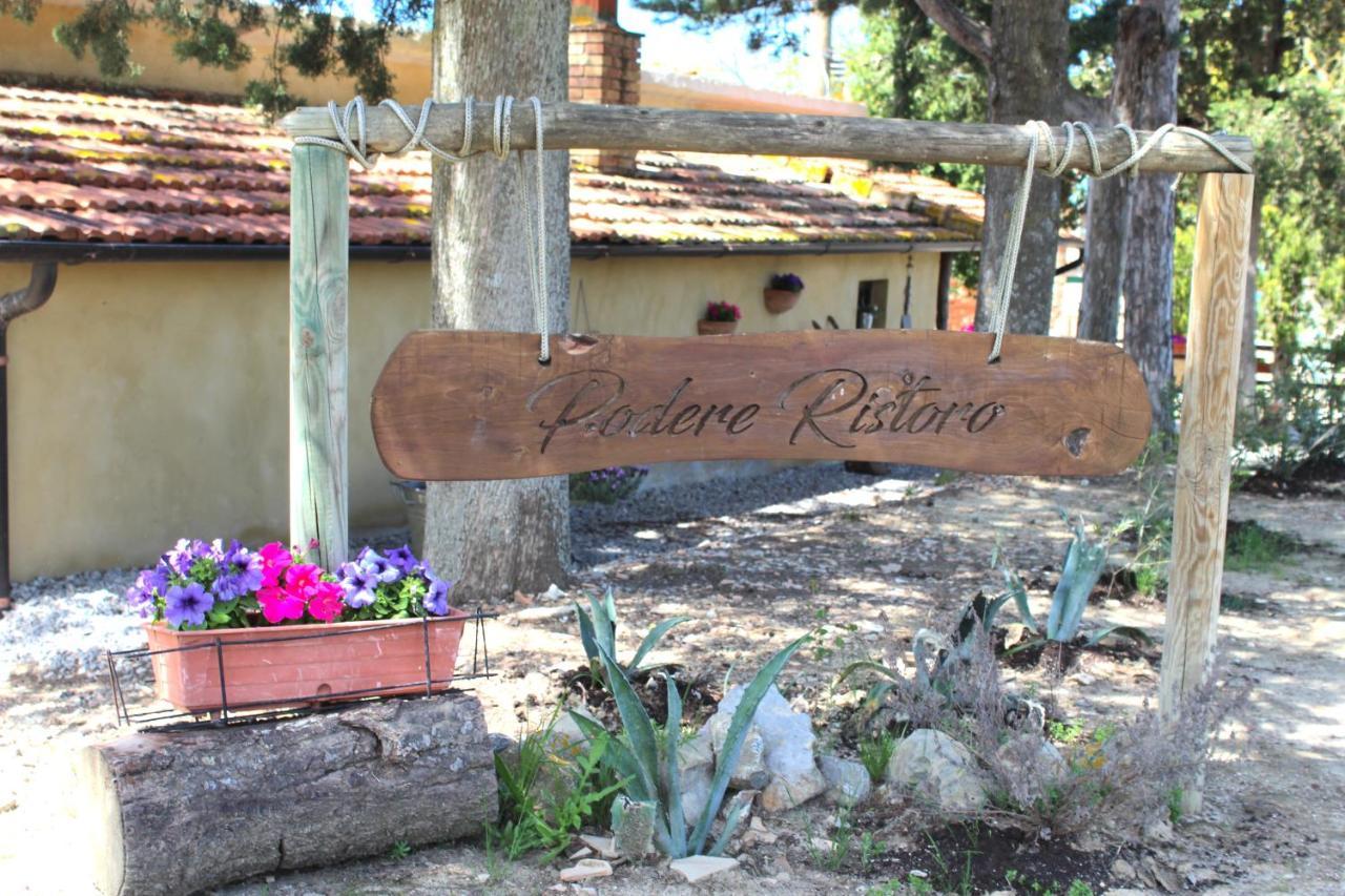 Casa Vacanza Podere Ristoro Lejlighed San Giovanni d'Asso Eksteriør billede